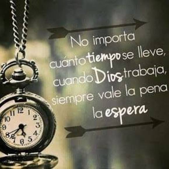 Meet your Posher, Gisselle - Picture 1 of 1